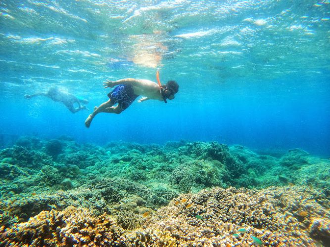 Berasa Hawa-hawa Bali : Ini 7 Pantai Terbaik Di Jawa Timur Rekomendasi Destinasi Liburan Kamu dan Keluarga