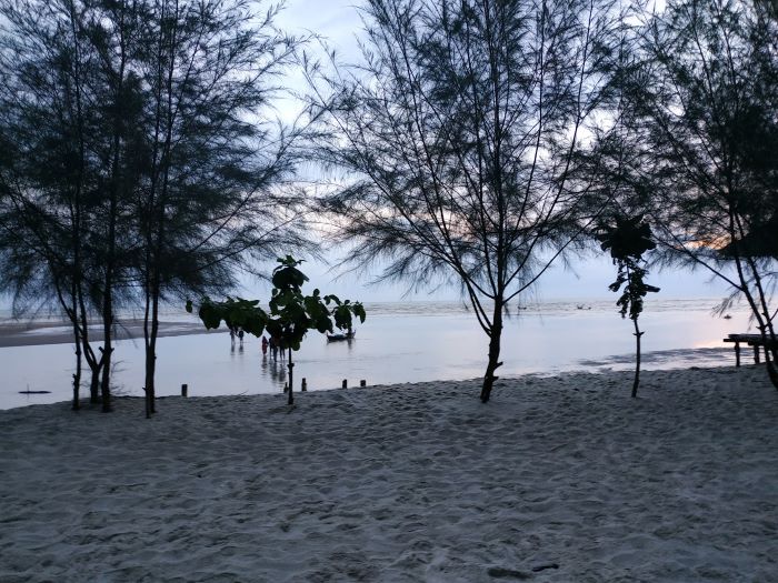 Pantai Mangrove Kampung Nipah: Wisata Bahari dan Edukasi di Sumatera Utara