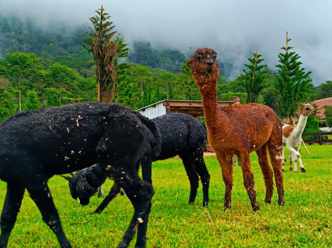 Destinasi Wisata Bali Terbaru yang Viral di Media Sosial: Bali Farm House Bedugul