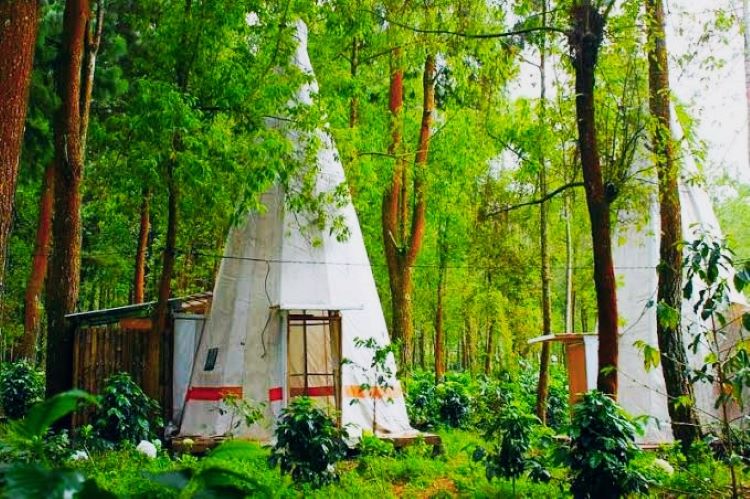 Tempat Menginap Unik di Apache Camp, Kota Wisata Batu Malang Berbentuk Segitiga ala Rumah Indian