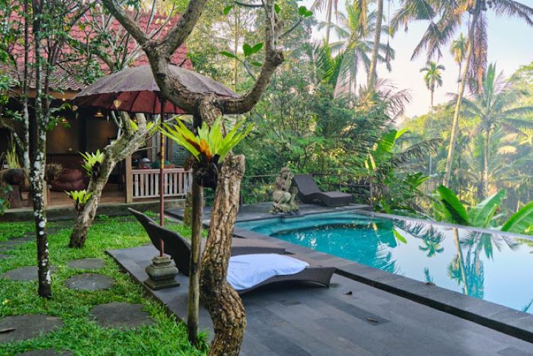 Villa di Bali dengan Pemandangan Kolam Renang Infinity dan Pemandangan Hijau Luas yang Memukau