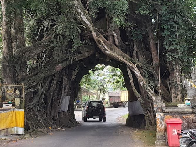 Bosan Wisata Bali Selatan? Coba Mampir ke Bali Barat dan Rasakan Sensasi Lainnya Liburan di Pulau Dewata