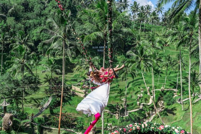 Eksplorasi Alas Harum: Destinasi Populer di Ubud Wajib Kesini Sih Kalau Kamu Liburan ke Bali