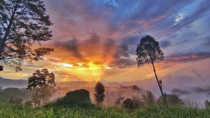 Taman Di Atas Awan : Destinasi Wisata Terbaru Yang Meledak Viral di Kota Wisata Bukittinggi, Instagramable Banget !!