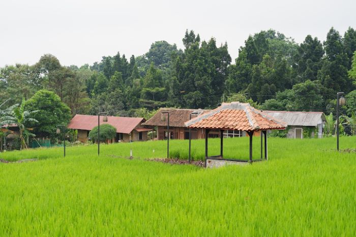 Resto, Villa & Glamping Murah Ditengah Hamparan Sawah Bogor: Real Serasa Pulang Ke Kampung Halaman