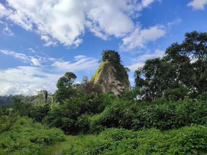 Tabiang Takuruang, Wisata Terbaik di Ngarai Sianok Bukittinggi yang Jadi Favorit Wisatawan Lokal dan Turis Asing!