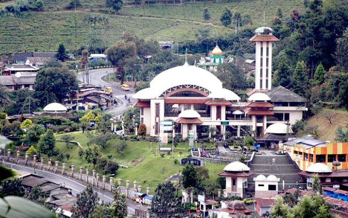 Penasaran Kondisi Puncak Paska Penertiban PKL : Wisatawan Berbondong ke Jalur Puncak Lihat Suasana Baru Pemandangan Hijau !!