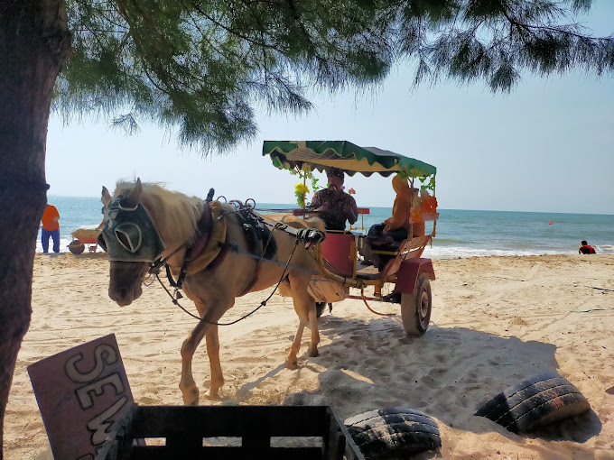 Top 4 Rekomendasi Pantai Terbaik dan Terhits di Tuban Jawa Timur Yang Nomor 1 Sangat Populer Setelah Viral di Sosmed