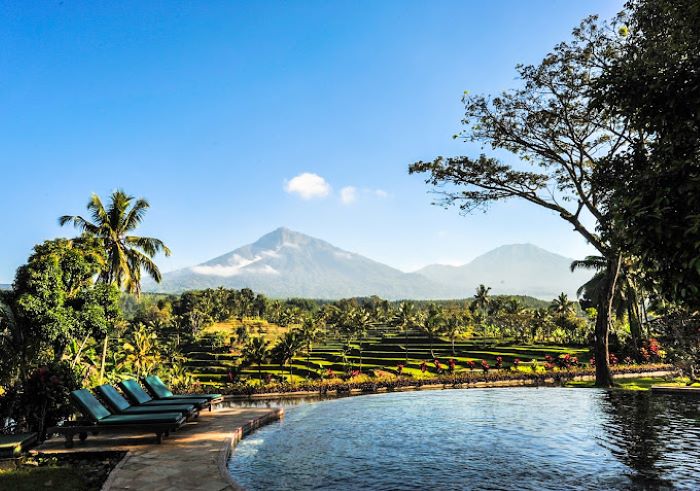 Dekat Destinasi Wisata Favorit Ijen dan Bali : Ini 10 Rekomendasi Hotel Terbaik di Banyuwangi Untuk Staycation Kamu dan Keluarga