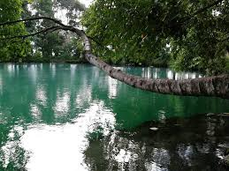 Wisata Danau Linting Keindahan Danau Vulkanik di Deli Serdang Airnya Warna Hijau Tosca